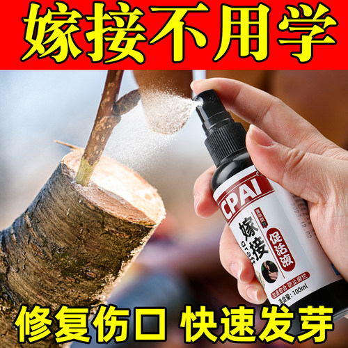 专业植物嫁接伤口愈合剂一喷救活
