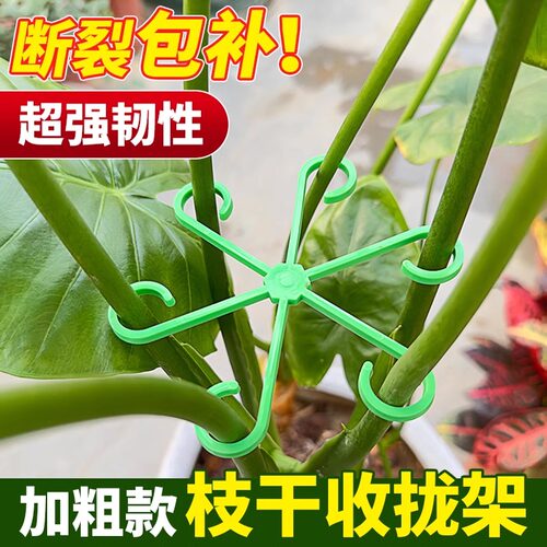耐用强力聚拢加粗款龟背竹支撑杆