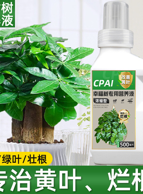 发财树营养液治黄叶枯叶烂根专用肥室内盆栽植物通用液体有机花肥