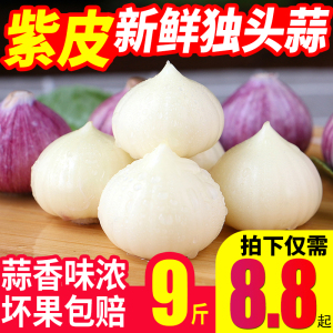 独头蒜云南紫皮大蒜5斤新鲜蔬菜鲜蒜湿蒜10整箱包邮干蒜独头蒜头