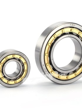 进口NSK圆柱滚子轴承RN N  311 312  313 314 315 EM EW C3