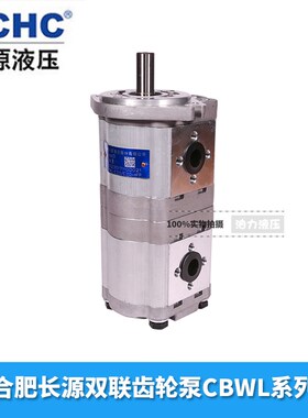 合肥长源双联齿轮泵CBWL-E310/E310-ALP 2孔,螺纹平键