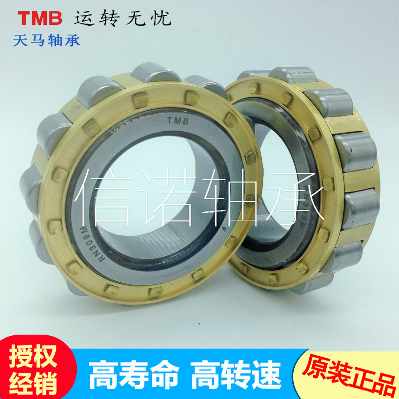 天马轴承减速机轴承 RN205 RN206 RN307M RN308 RN309M RN312M