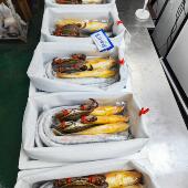 海鲜礼包海鲜大礼包舟山鲜活海鲜水产套餐年货福利礼盒装 宁波特产