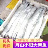 舟山带鱼新鲜冷冻东海鲜活海鲜冰鲜非海钓雷达网小眼睛油带鱼水产