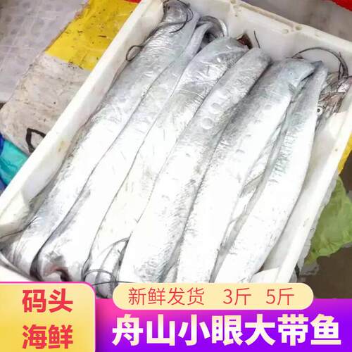 舟山带鱼小眼睛油带鱼