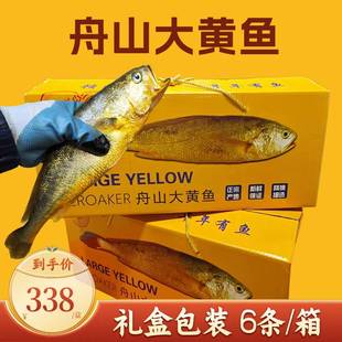 年货黄鱼海鲜水产鲜活黄花大黄鱼礼盒舟山生态深海大黄鱼福利送礼