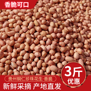 贵州铜仁珍珠小花生米2024年新鲜精选小粒去壳生小花生米下酒菜