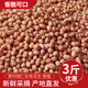 贵州铜仁珍珠小花生米2024年新鲜精选小粒去壳生小花生米下酒菜