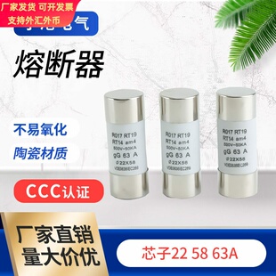 宁港现货供应陶瓷材质保险丝电流保险丝管22/58/63A熔芯熔断器