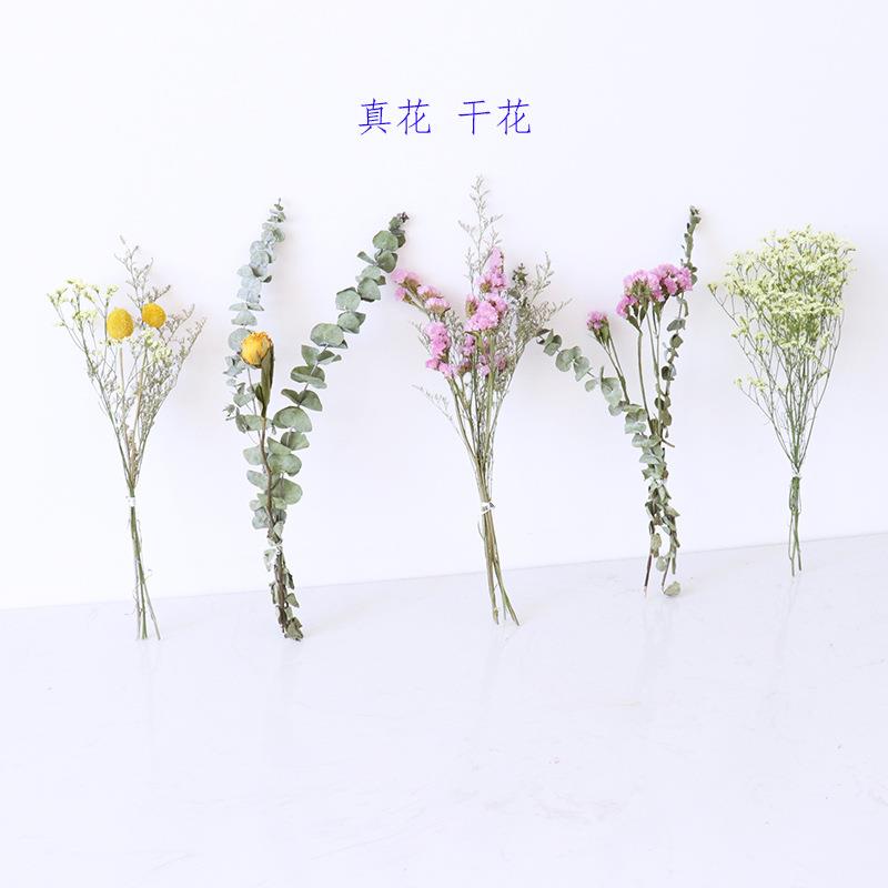 勿忘我干花插花伴手礼花 拍照道具 diy情人草水晶草手工真小干花
