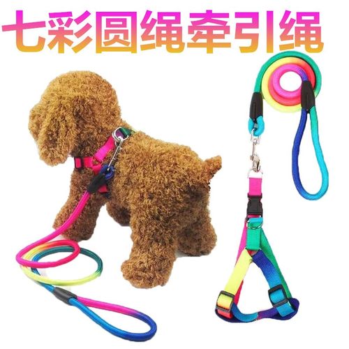 宠物七彩圆绳牵引绳 胸背带狗绳狗链泰迪贵宾胸背带 七彩牵引绳