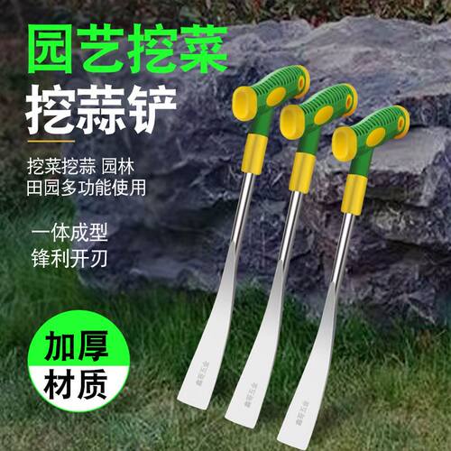 小钢铲拔菜挖野菜不锈钢挖蒜铲荠菜园艺种花挖土农用铲子