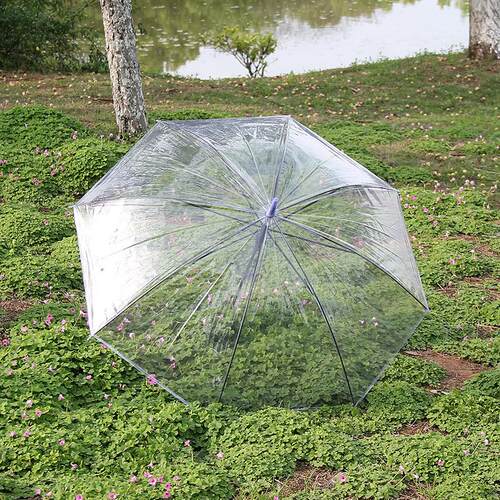 自动长把透明伞晴雨两用折叠伞 创意儿童彩色抗风三折伞批发