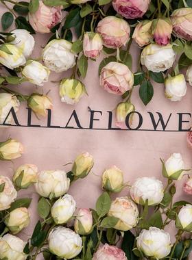 仿真花琇环双头焦边玫瑰枝INS风家居装饰婚庆假花厂家MW52001定制