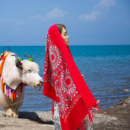 秋冬爆款太阳花刺绣仿围巾女民族风绣花披肩加厚保暖流苏围巾定制