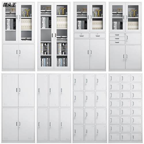 文件柜铁皮柜资料柜办公室财务档案凭证矮柜带锁浴室储物更衣柜子