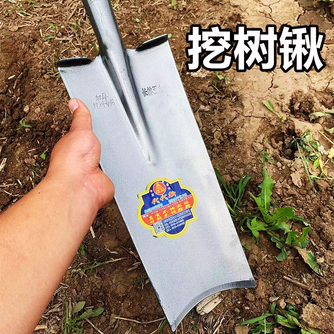 挖树专用锹全钢锰钢加厚挖树铲子挖坑栽树移苗铲园艺种植挖树神器