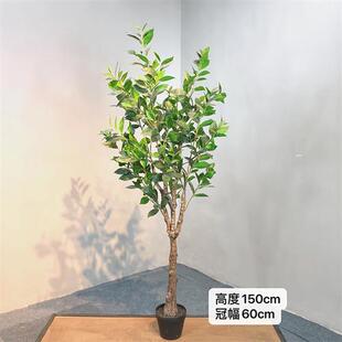 高仿真球形月桂树盆栽室内家居桂花树摆件假绿植盆栽造景拍摄道具