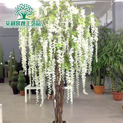 豆花树酒店婚庆摆设装饰豆花树广场办公绿化景观树植物树