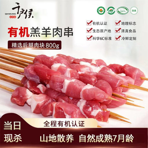 右玉有机羊肉串半成品烧烤食材