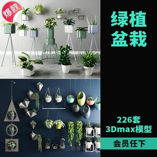 绿植室内盆栽3d模型植物摆件别墅庭院花园民宿花卉盆景花店3DMAX