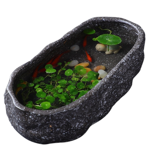 大号陶瓷花盆鱼缸铜钱草桌面花器石头假山造型睡碗莲水仙盆大口径