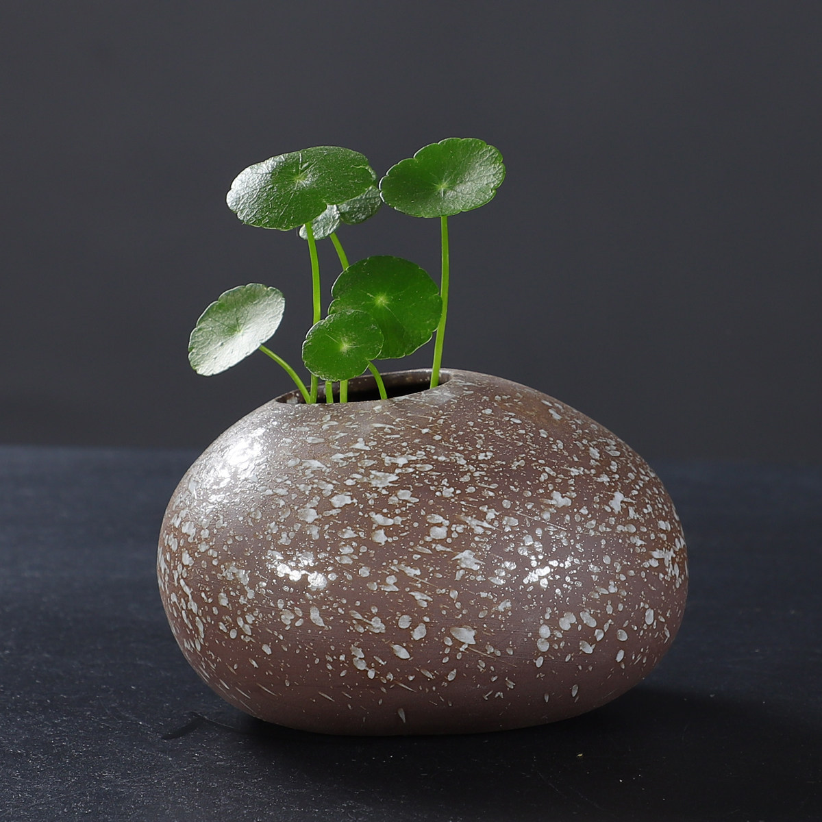 水培花盆花瓶复古石头造型桌面花器铜钱草绿萝种植器皿容器简约