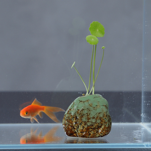 鱼缸造景装饰小摆件水草定植陶罐水草沉底环陶罐仿真多彩石头配饰