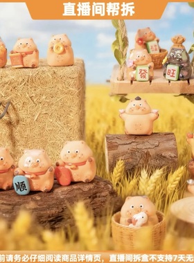 【拆盒】Lucky RoRo九号肉.好运百分百系列潮玩手办盲盒萌粒