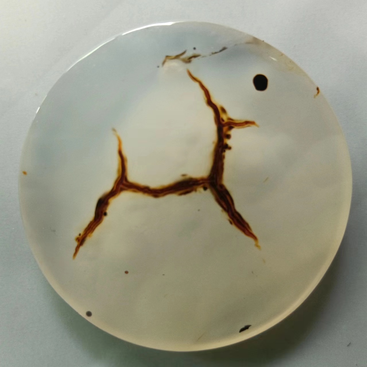 马达加斯加海洋玉髓：天马行空