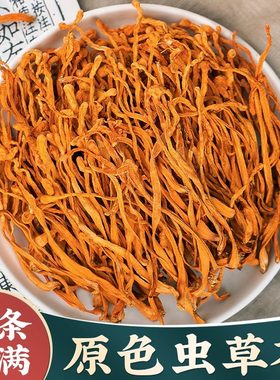 【试用20%包退】原色新货虫草花