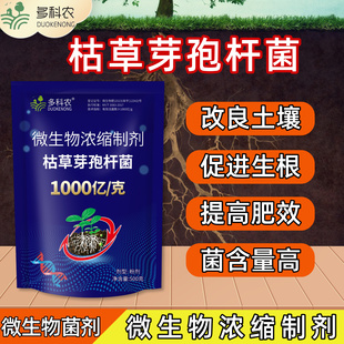 枯草芽孢杆菌1000亿每克高含量微生物菌剂肥料微生物浓缩制剂