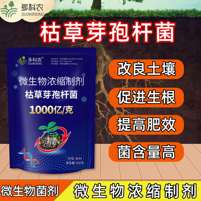 枯草芽孢杆菌1000亿每克高含量