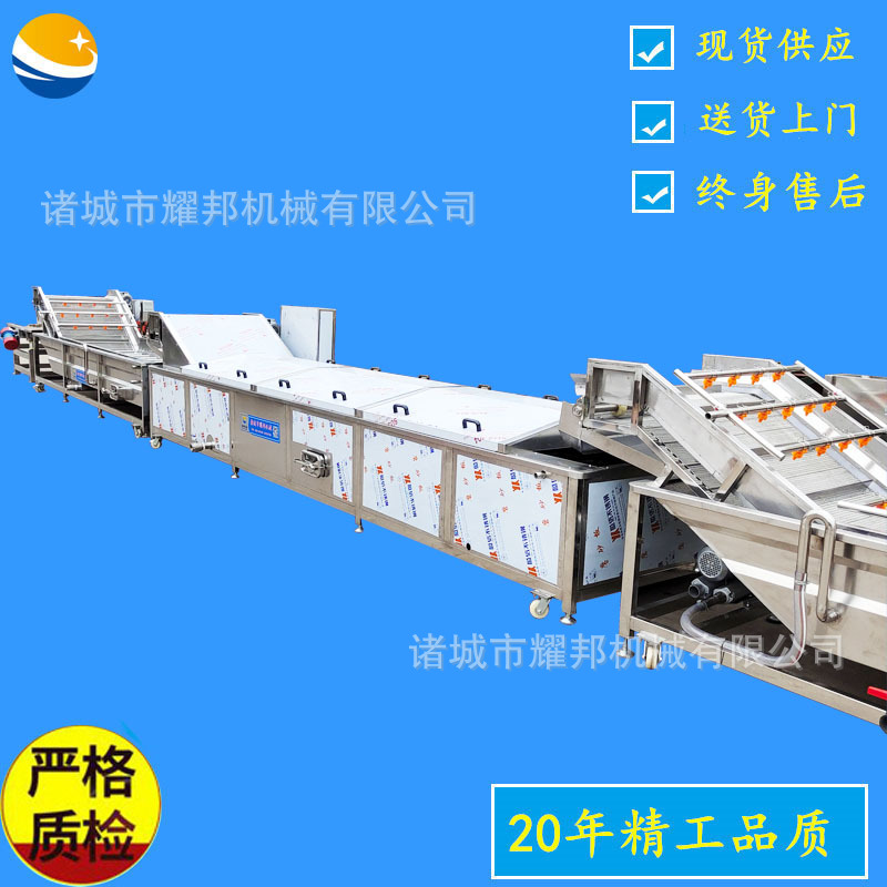 蔬菜清洗漂烫机 桑芽菜清洗漂烫冷却流水线 全套桑芽菜加工设备