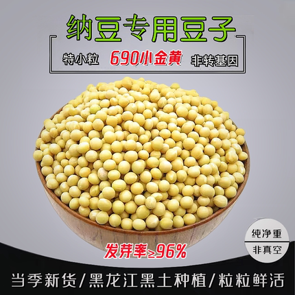 纳豆专用黄豆极小粒690小黄豆非转基因农家自种生发豆芽豆小金黄