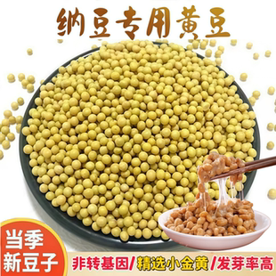 纳豆专用黄豆小粒690小金黄非转基因当季 新豆发芽率高新鲜芽豆
