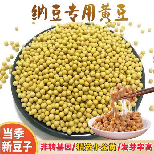 纳豆专用黄豆690小金黄当季新豆