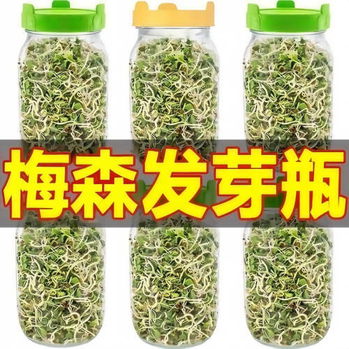 家用梅森瓶发芽罐水培芽菜育苗瓶