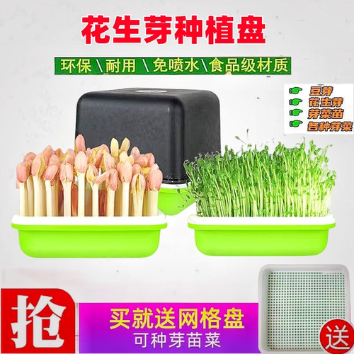 种花生芽发芽神器水培专用盘菜罐