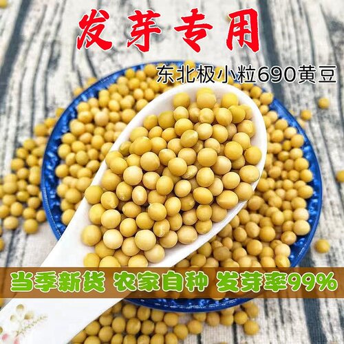 小金黄690芽豆珍珠粒发芽专用豆