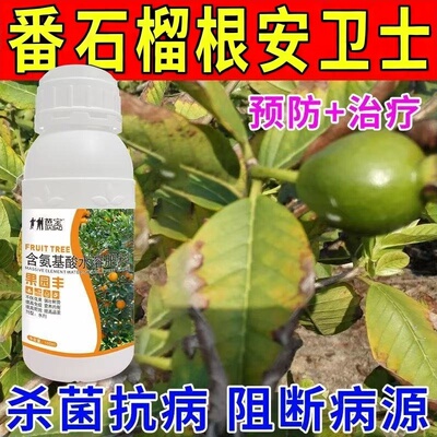 番石榴根安卫士石榴病全治