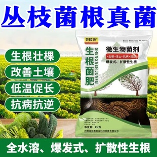 am菌丛枝菌根真菌菌剂生根菌肥生根冲施肥蔬菜果树移栽快生根发根