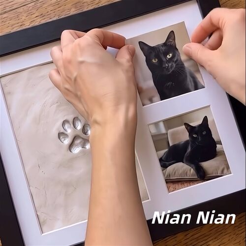 宠物爪印纪念相框猫爪印泥收藏画框摆件装饰足迹实木照片收纳摆台