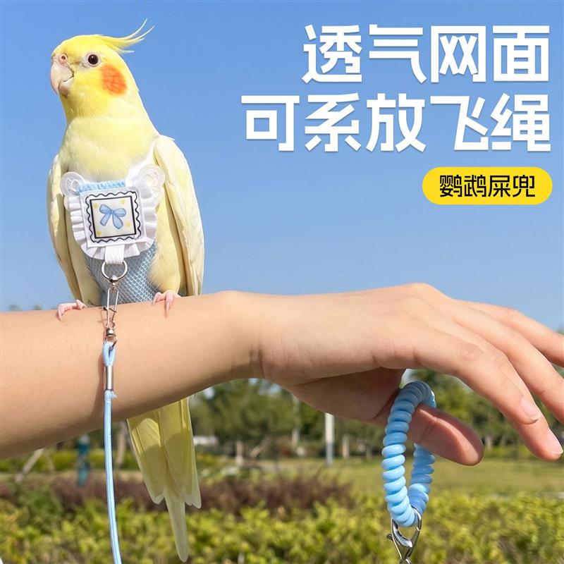 鹦鹉屎兜和尚尿不湿牡丹小太阳拉屎神器便兜夏玄凤小鸟纸尿裤尿片