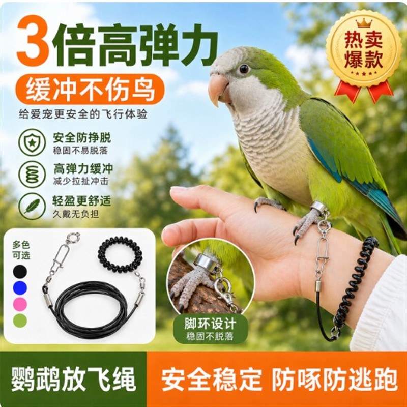 和尚鹦鹉放飞绳外出遛鸟牵引绳牡丹虎皮玄凤小太专用训练脚链脚环
