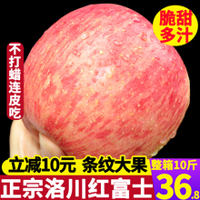 洛川红富士苹果水果新鲜脆甜当季整箱10斤包邮陕西延安冰糖心平果