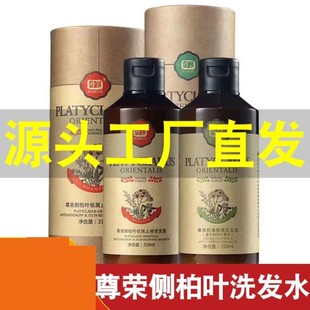 尊荣侧柏叶洗发水祛屑控油防脱强根无硅油去屑蓬松洗发露洗护套装