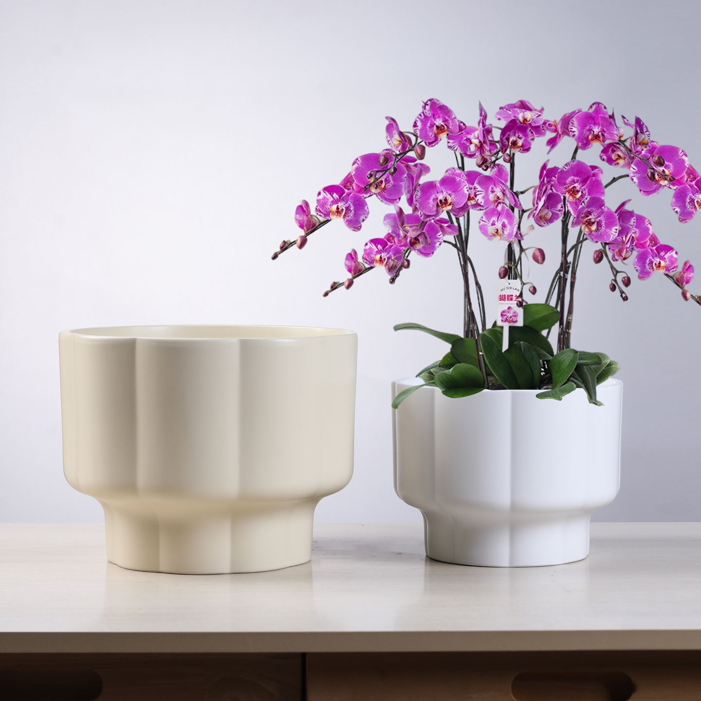 欧式简约陶瓷花盆花瓣新款创意阳台室内绿萝兰花蝴蝶兰盆栽特大号