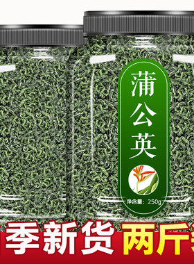 蒲公英茶中药材官方旗舰店散结茶